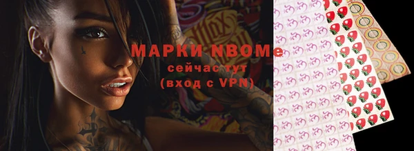 apvp Алексин
