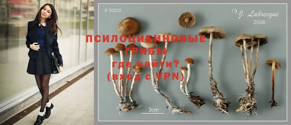 тгк Алзамай