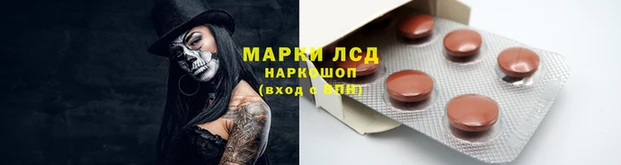 тгк Алзамай