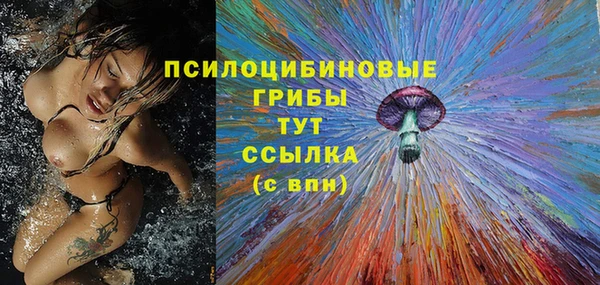 apvp Алексин