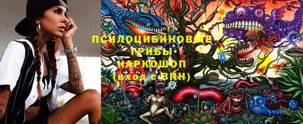 тгк Алзамай