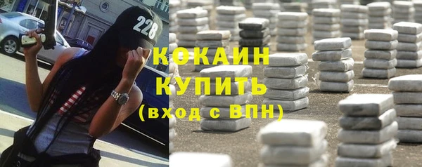 прущие грибы Абаза