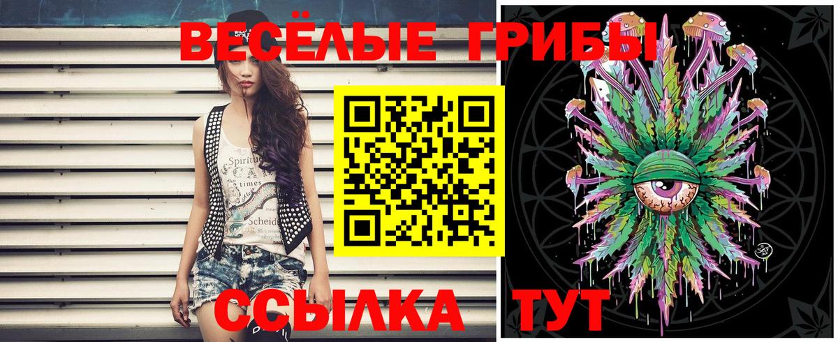 Галлюциногенные грибы ЛСД Тамбов